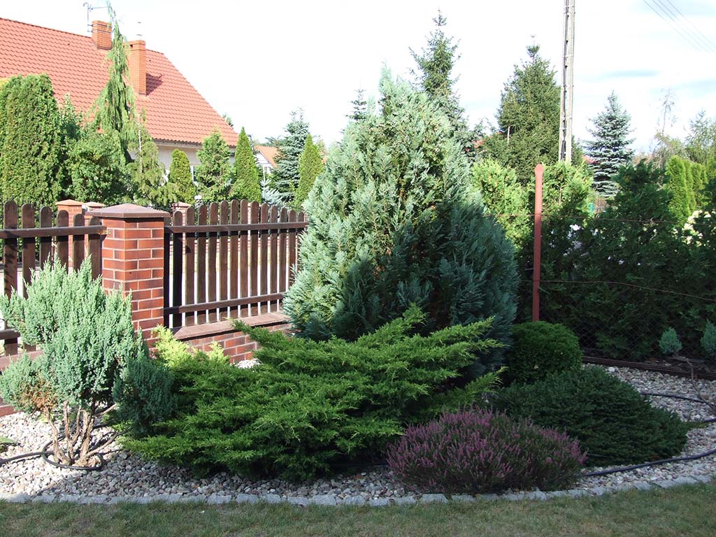 zdjęcie z realizacji