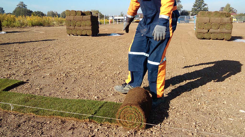 zdjęcie z realizacji