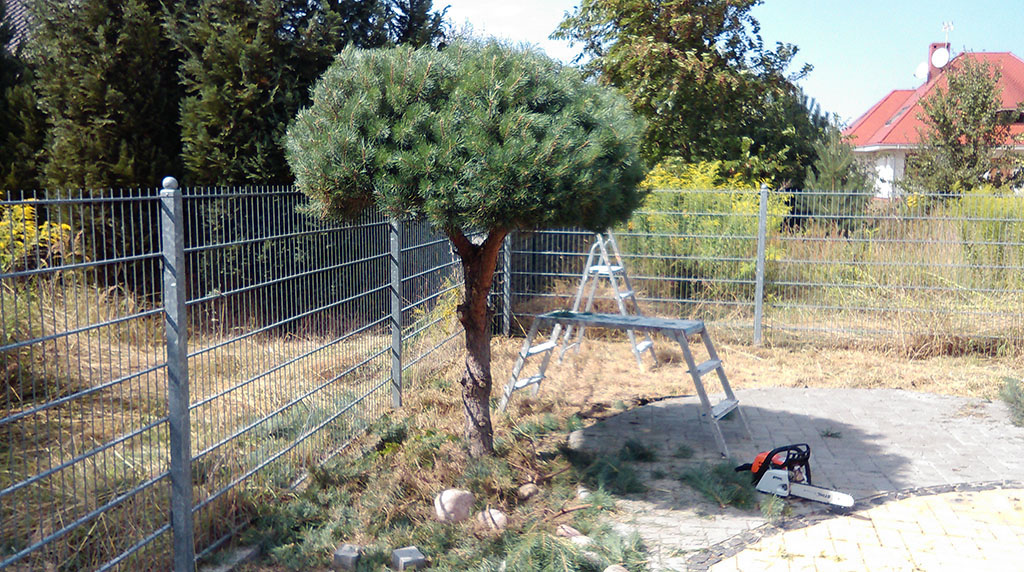 zdjęcie z realizacji