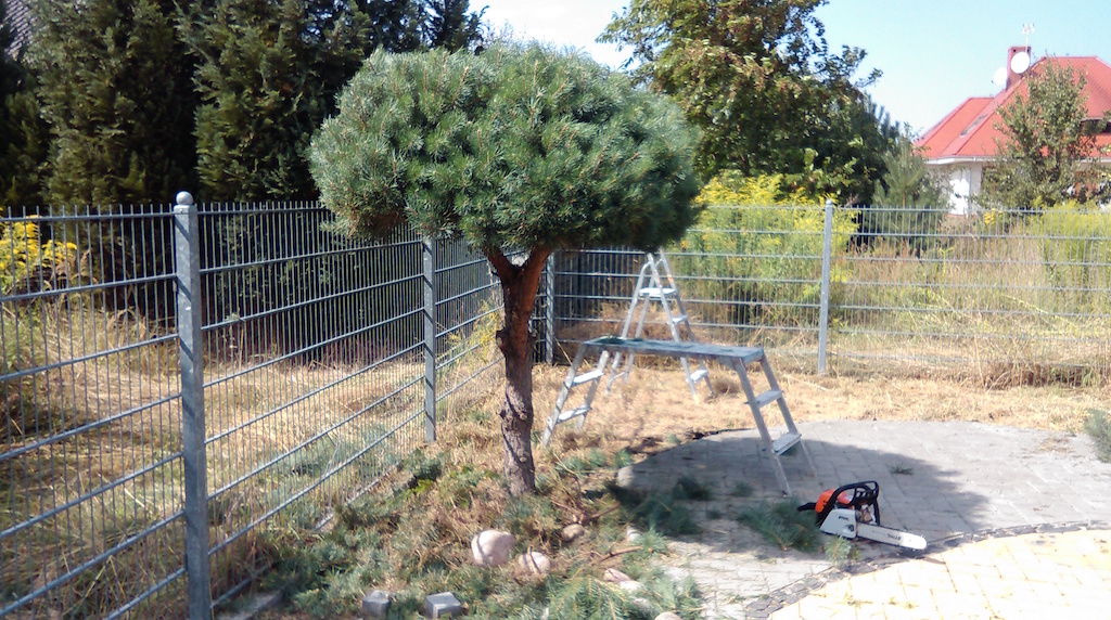 zdjęcie z realizacji